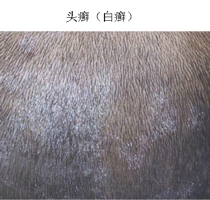 99-1G1301F245222